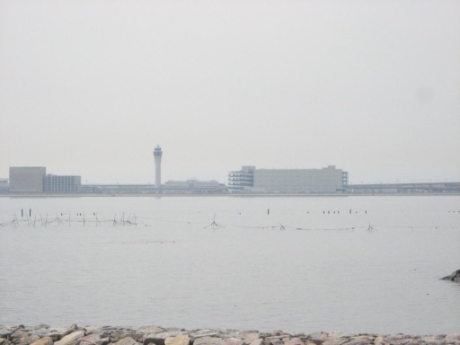 画像11